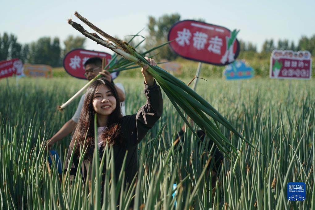 游戏开发大亨捕鱼